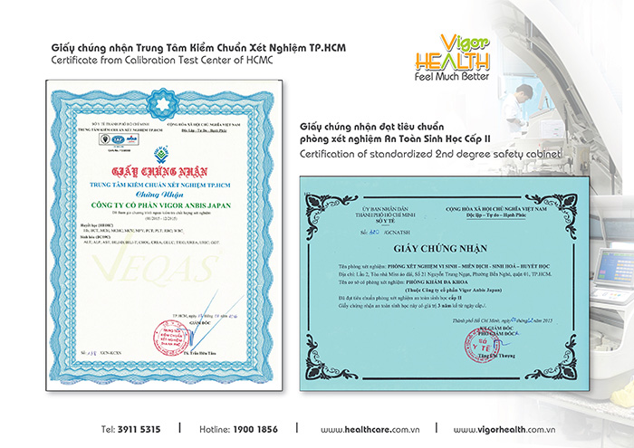 giay phep 02 706
