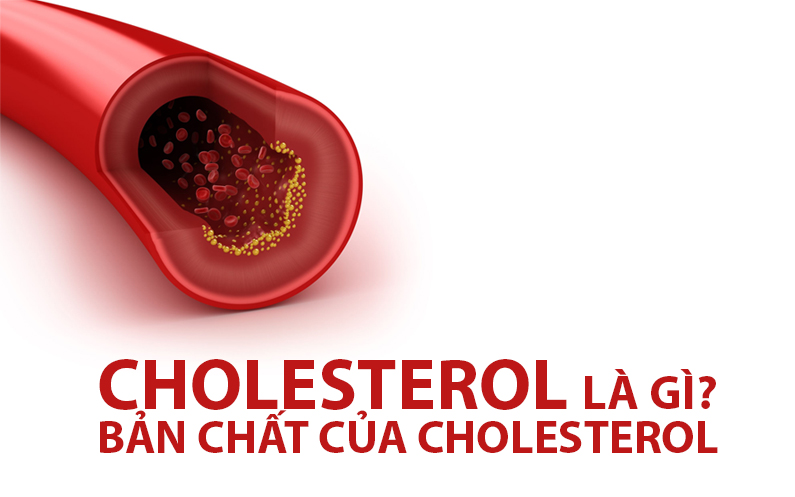 kiem tra bo mo vigor health 1